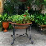 Antiguo lebrillo de barro