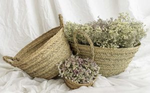Canastos/cestos de esparto